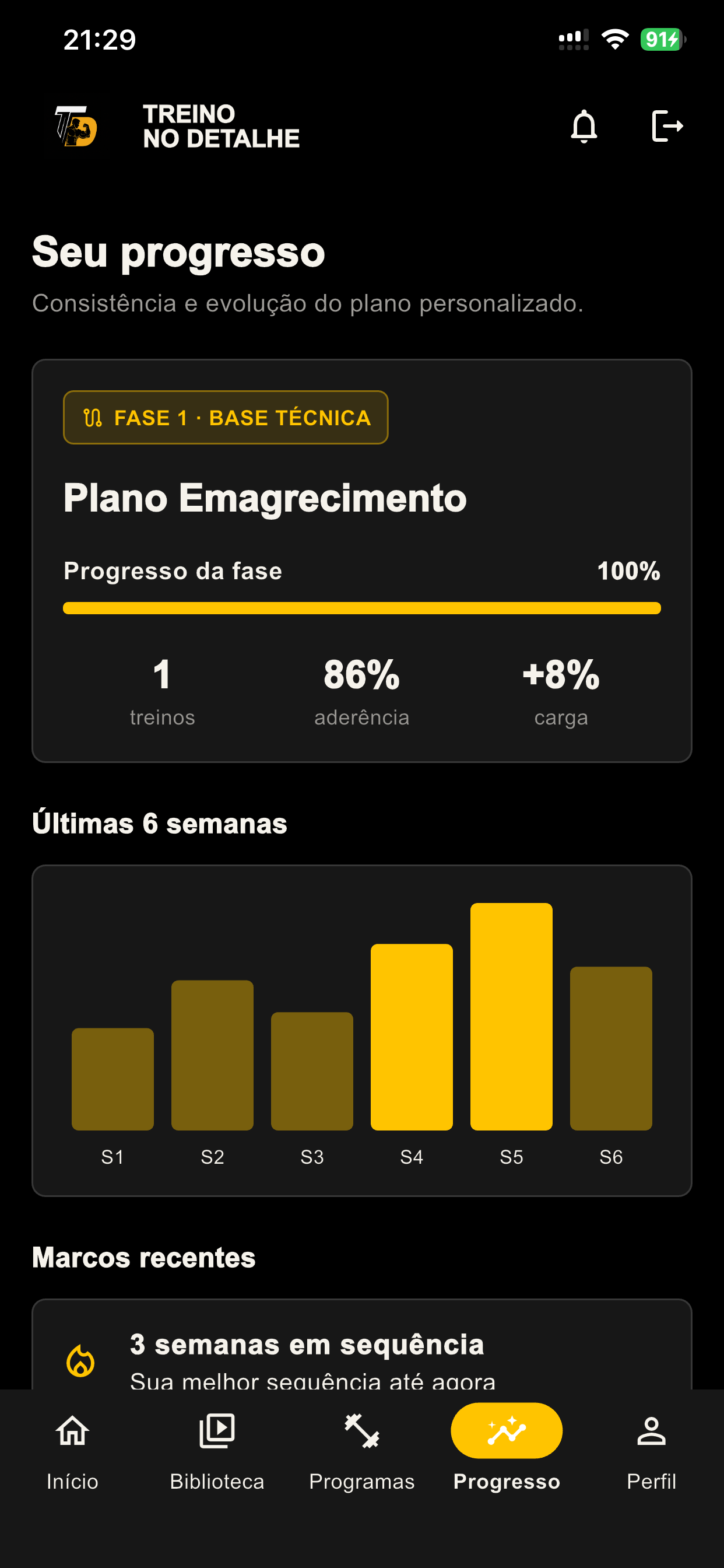 Tela de progresso do plano personalizado